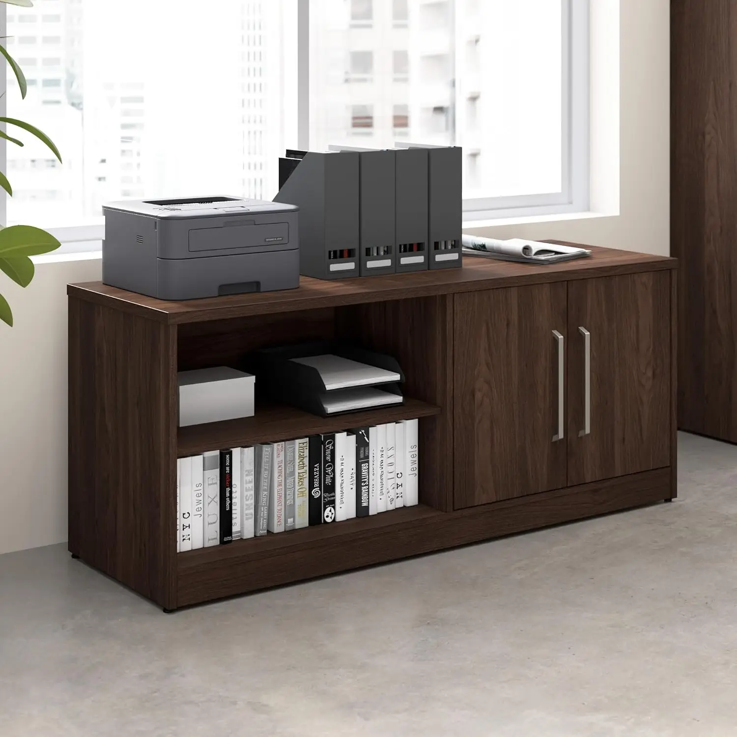 Low Storage Cabinet with Doors - Credenza Office Storage 리뷰 및 가격
