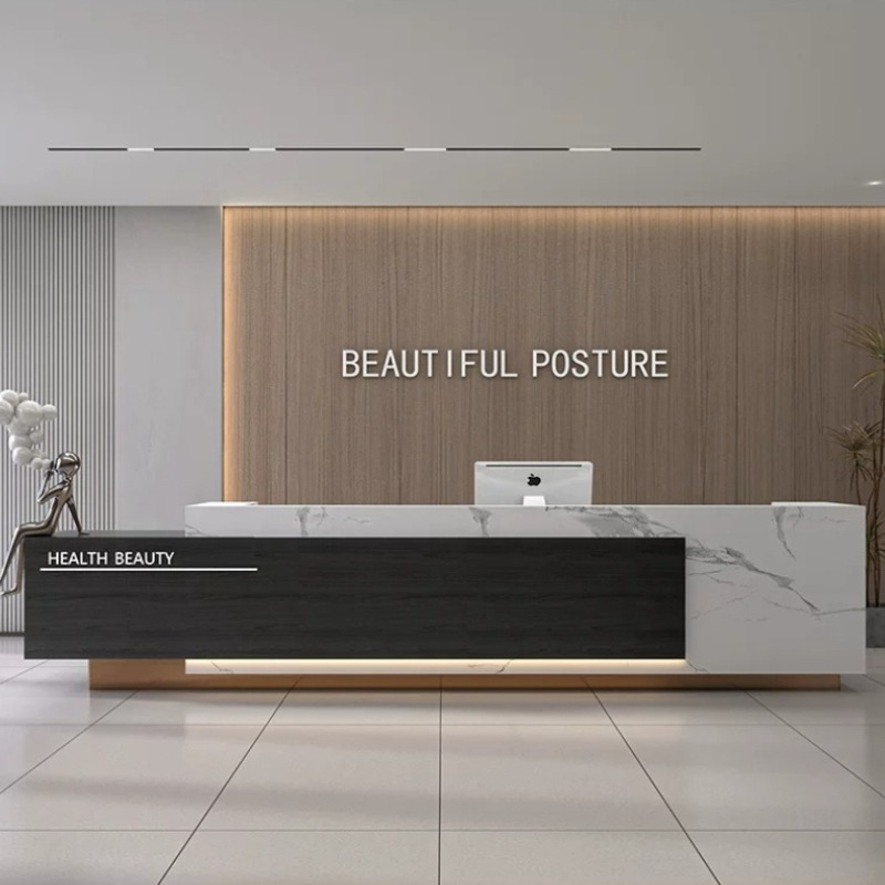 Modern Minimalist Reception De - Office Furniture High End 리뷰 및 가격
