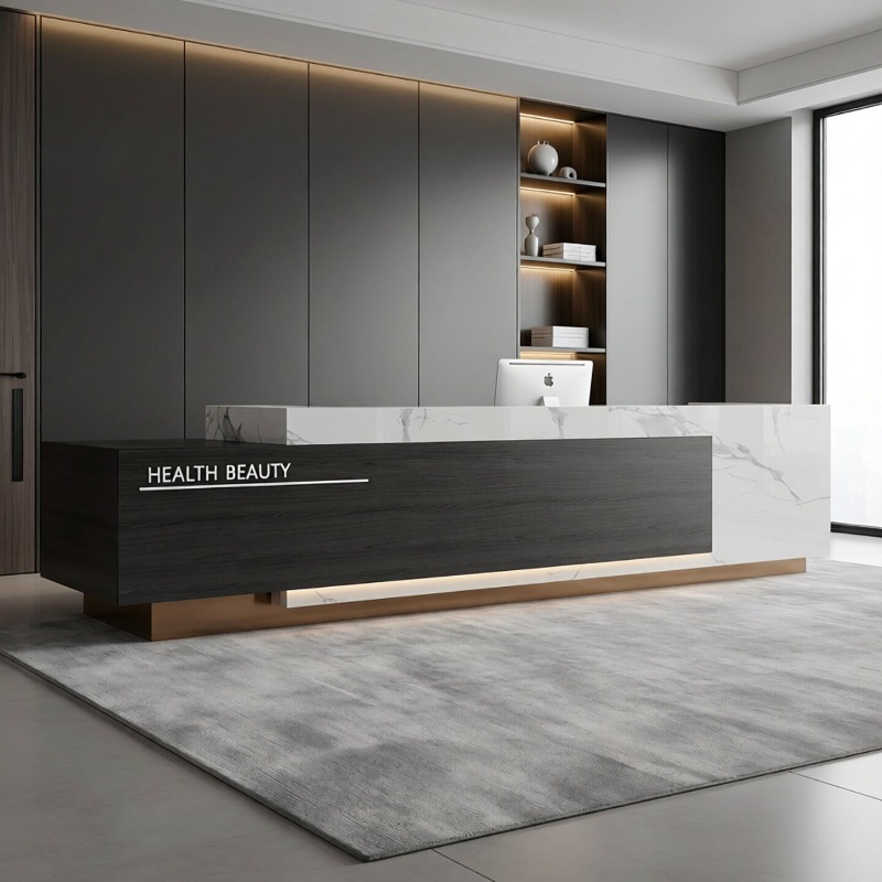 Modern Minimalist Reception De - Office Furniture High End 리뷰 및 가격