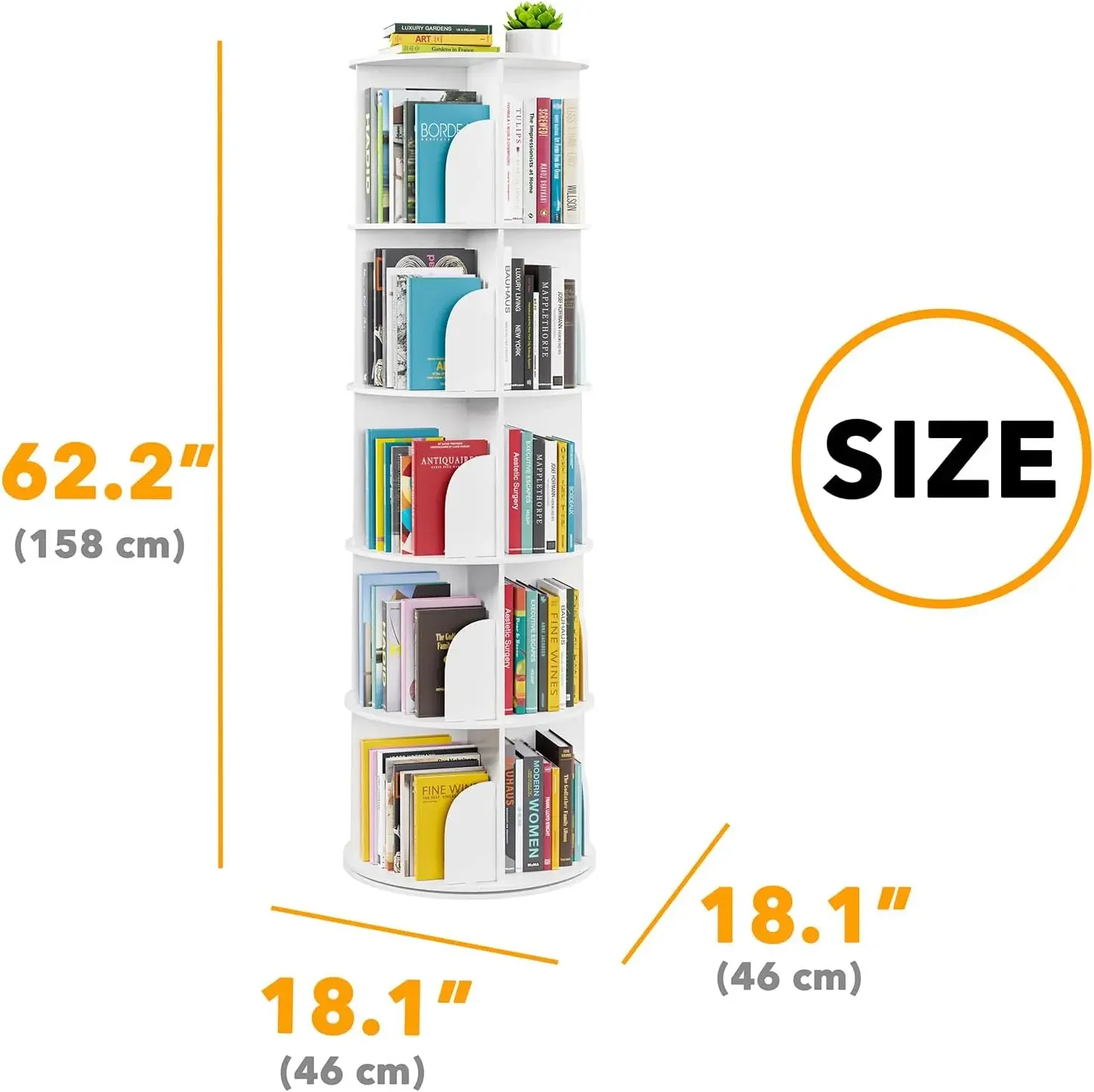 [New Arrival!]5 Tier Rotating  - Bookshelf 5 Tier 리뷰 및 가격